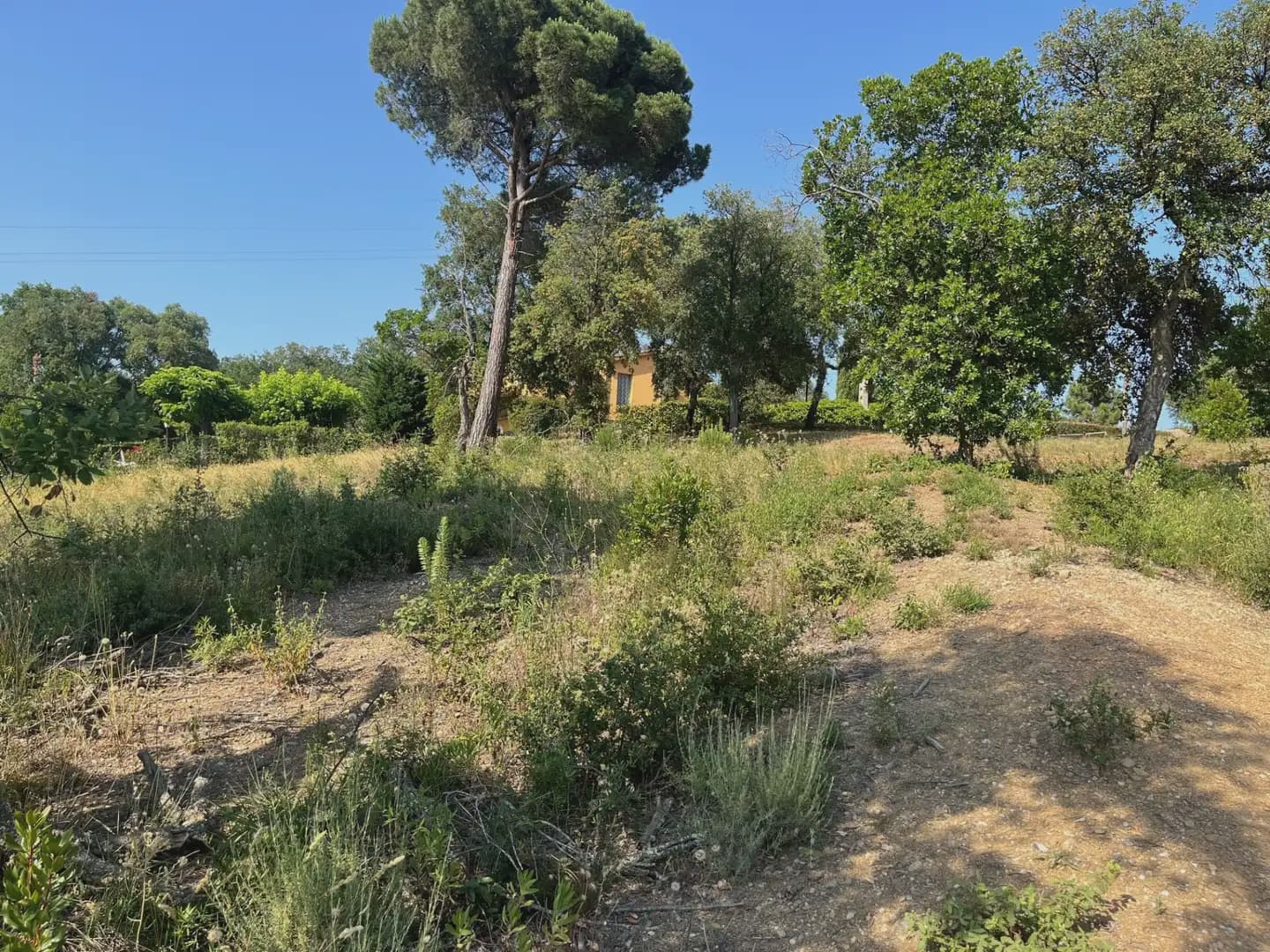 Building Plot for sale in Bescano - € 42,000 (Ref: 9850010)