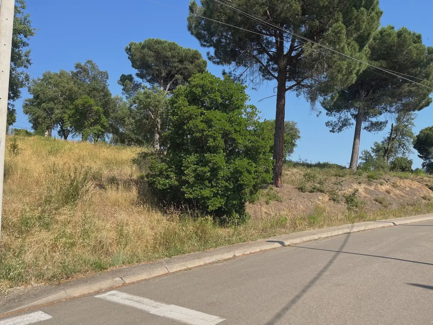 Building Plot for sale in Bescano - € 42,000 (Ref: 9850010)