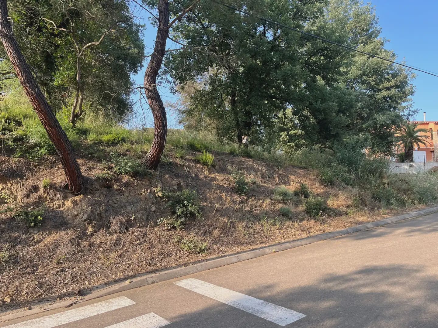 Building Plot for sale in Bescano - € 35,000 (Ref: 9850011)