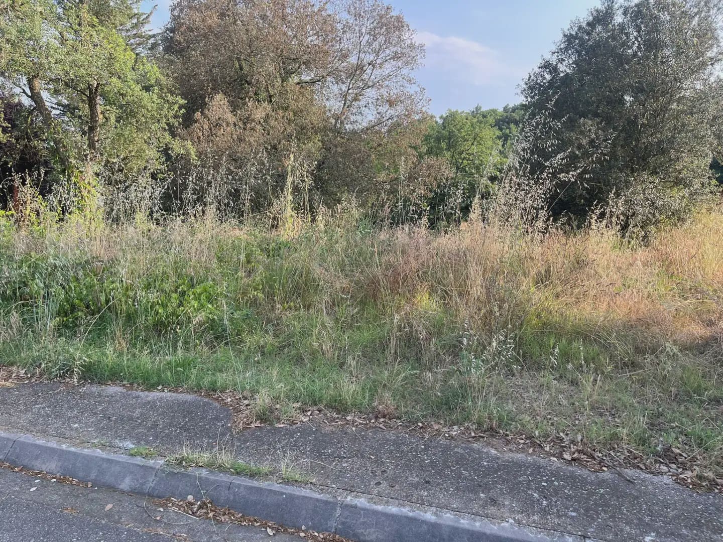 Building Plot for sale in Bescano - € 35,000 (Ref: 9850011)