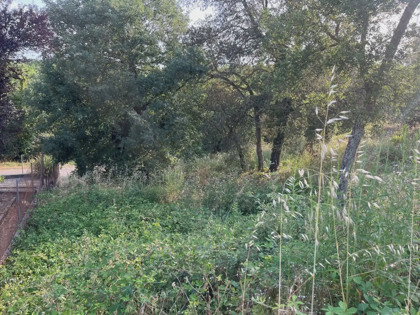 Building Plot for sale in Bescano - € 35,000 (Ref: 9850011)
