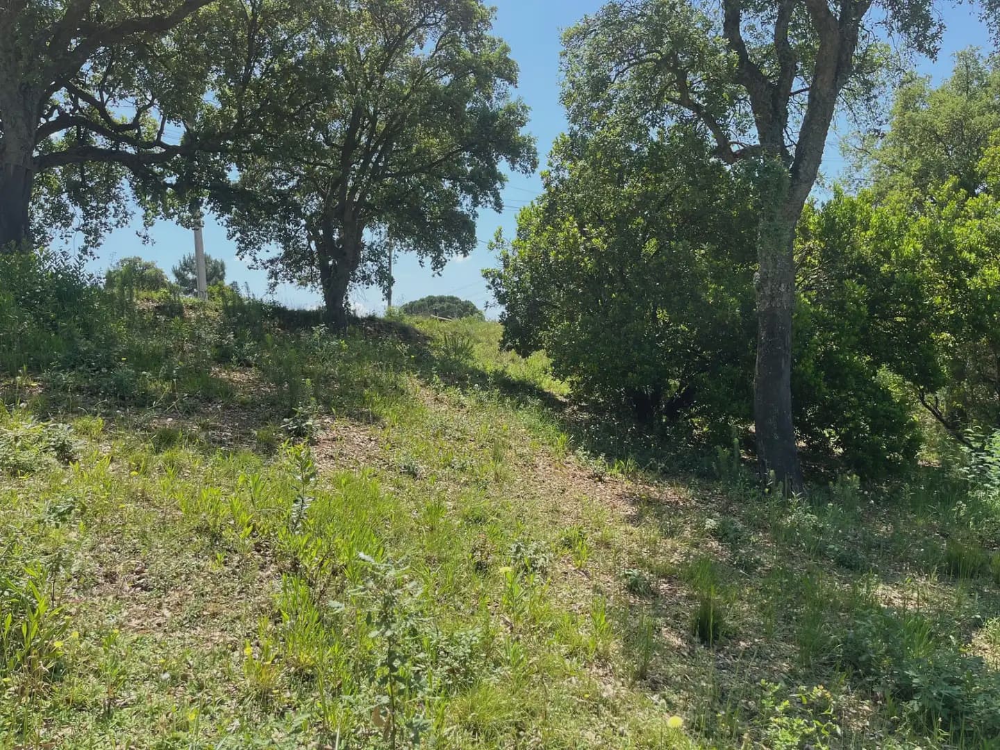 Building Plot for sale in Bescano - € 40,000 (Ref: 9850012)