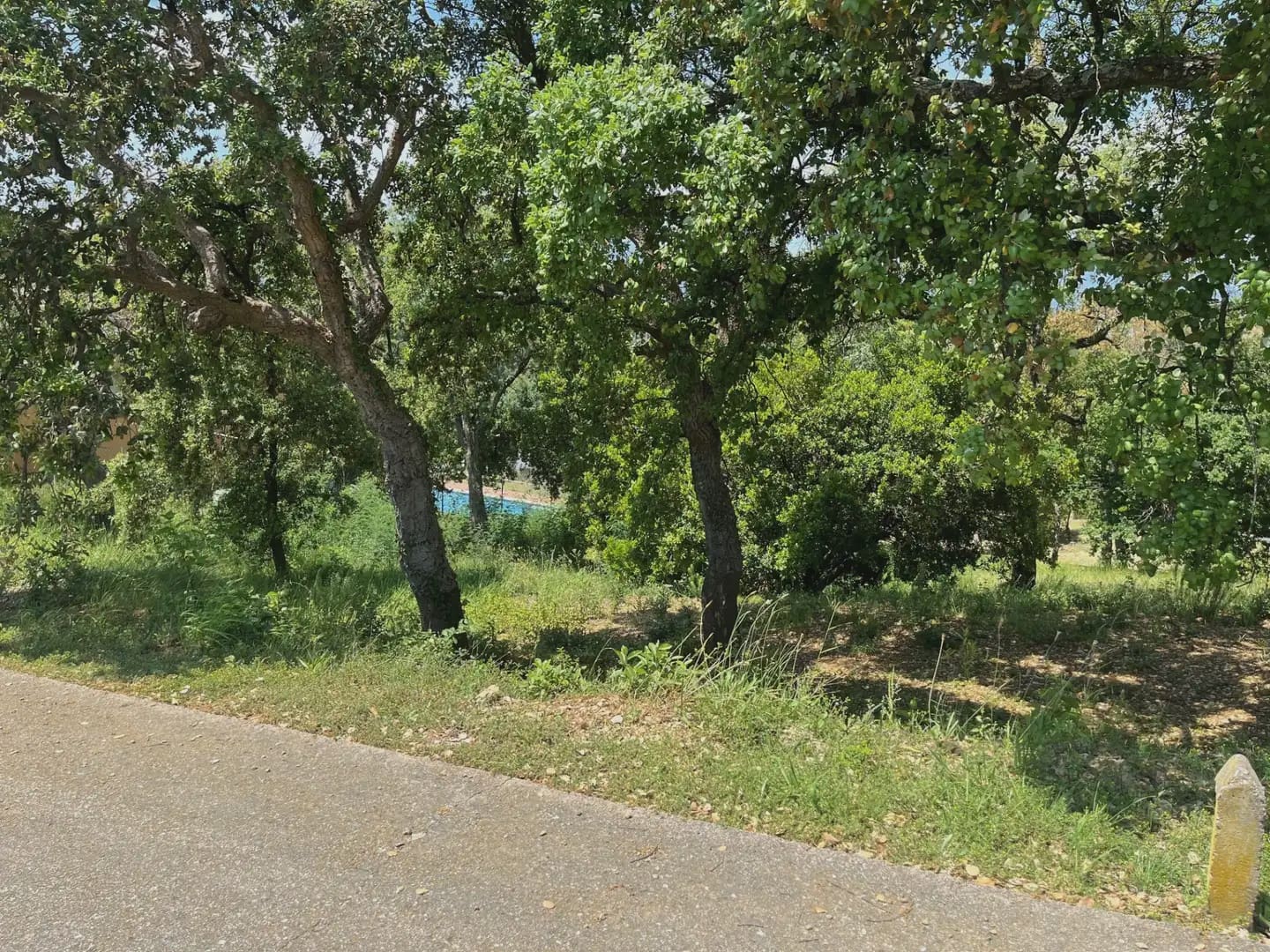 Building Plot for sale in Bescano - € 40,000 (Ref: 9850012)