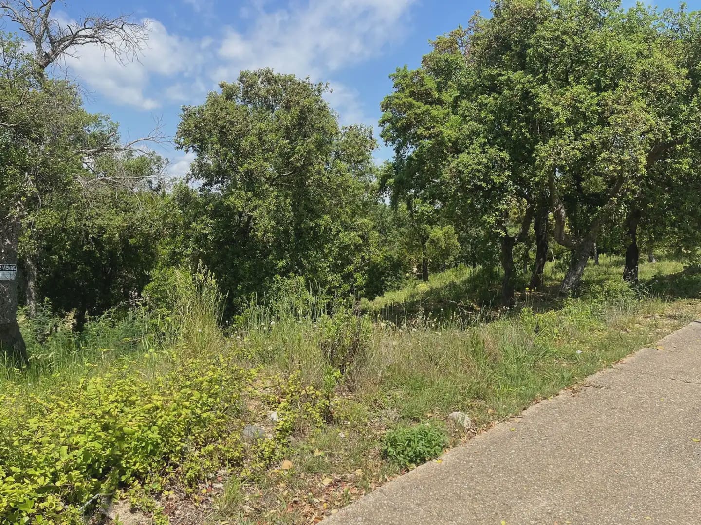 Building Plot for sale in Bescano - € 40,000 (Ref: 9850012)