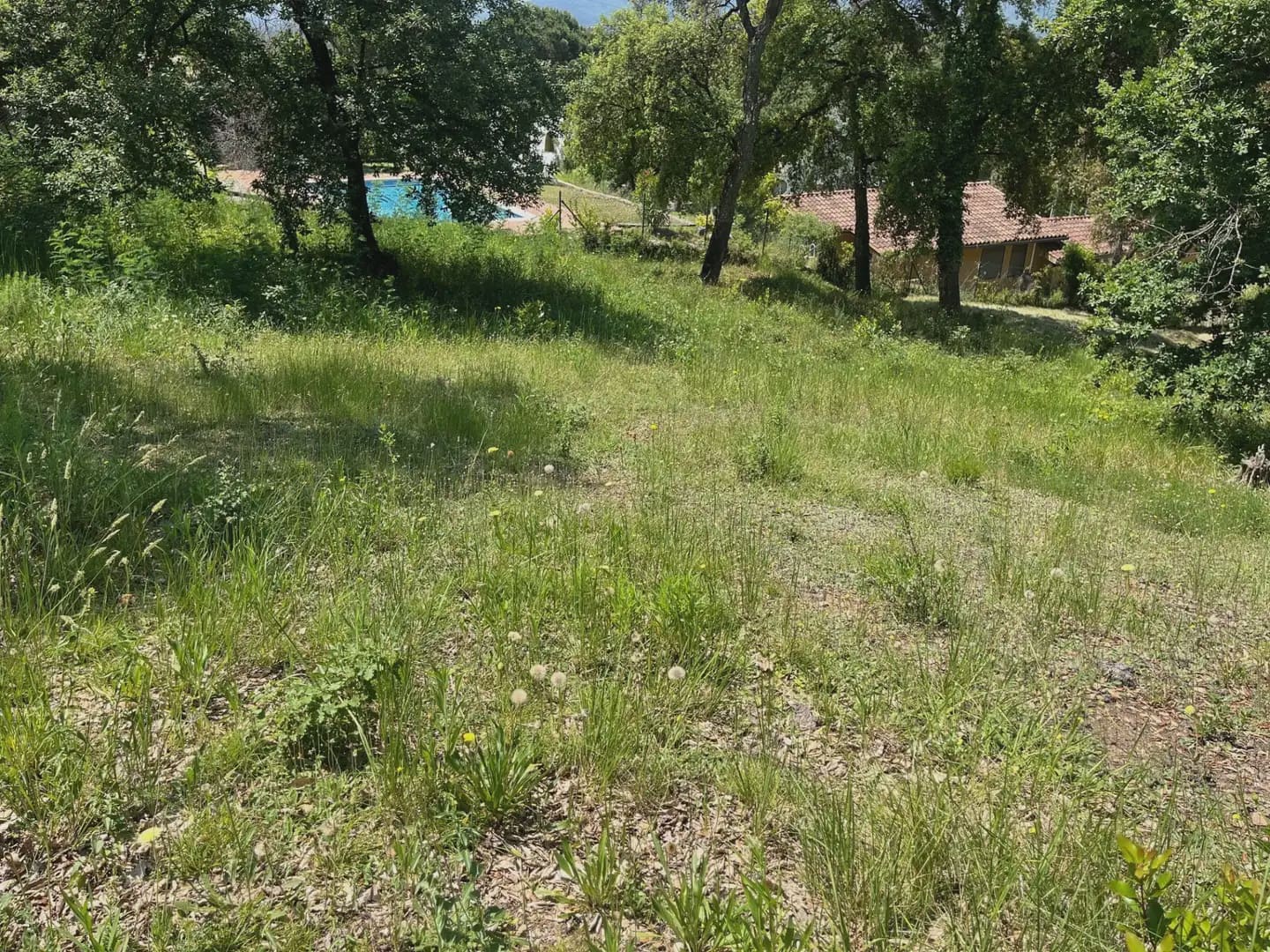 Building Plot for sale in Bescano - € 40,000 (Ref: 9850012)