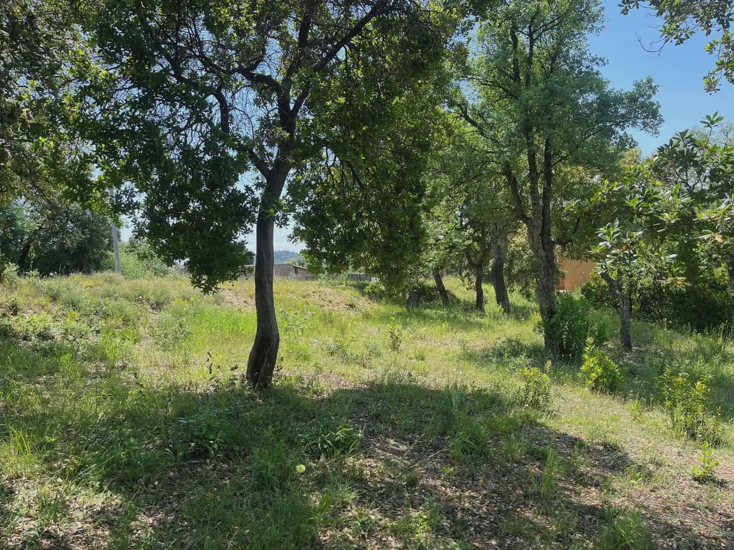 Bauplatz zu verkaufen in Bescano - 40.000 € (Ref: 9850013)