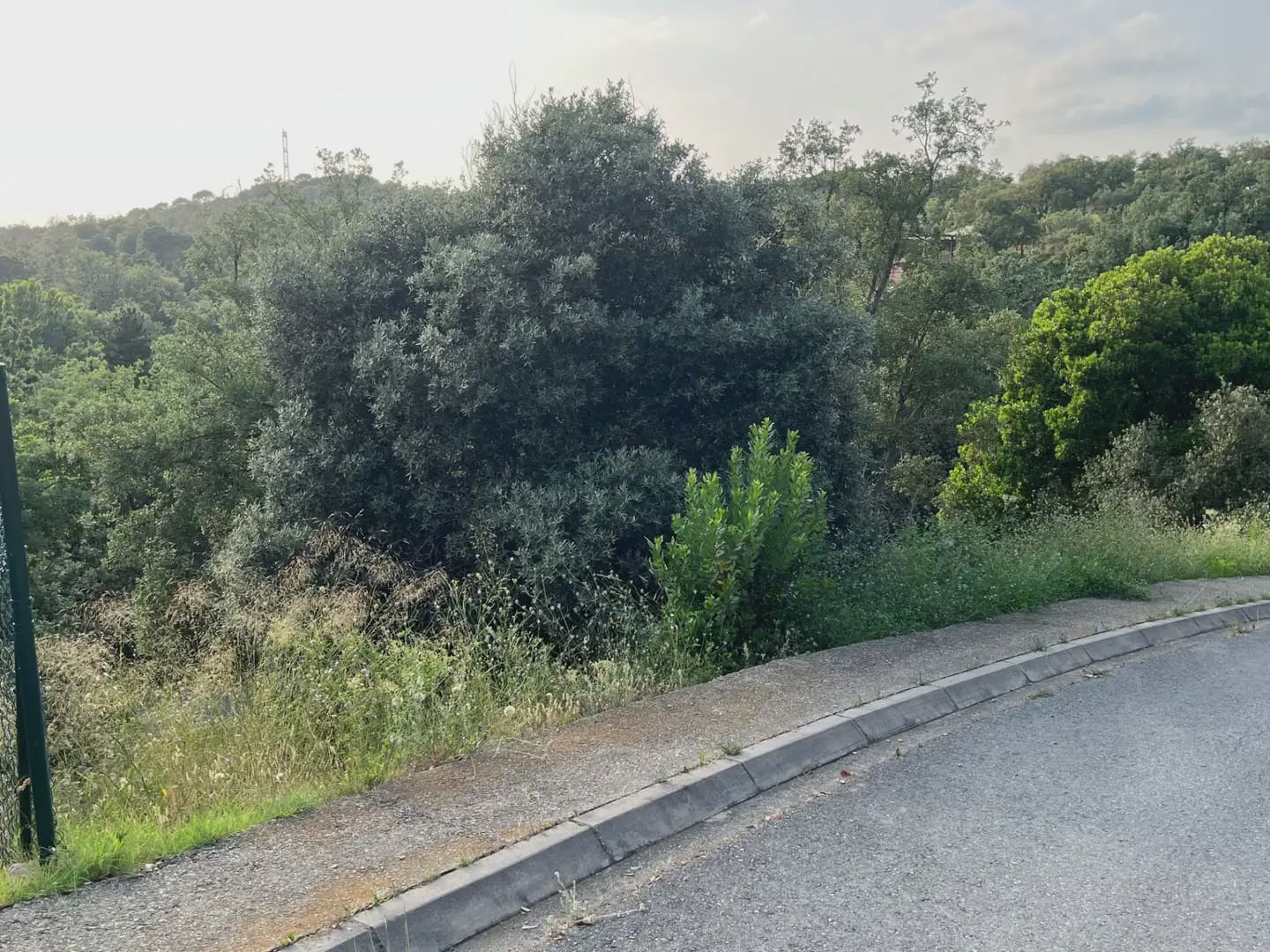 Building Plot for sale in Bescano - € 40,000 (Ref: 9850014)