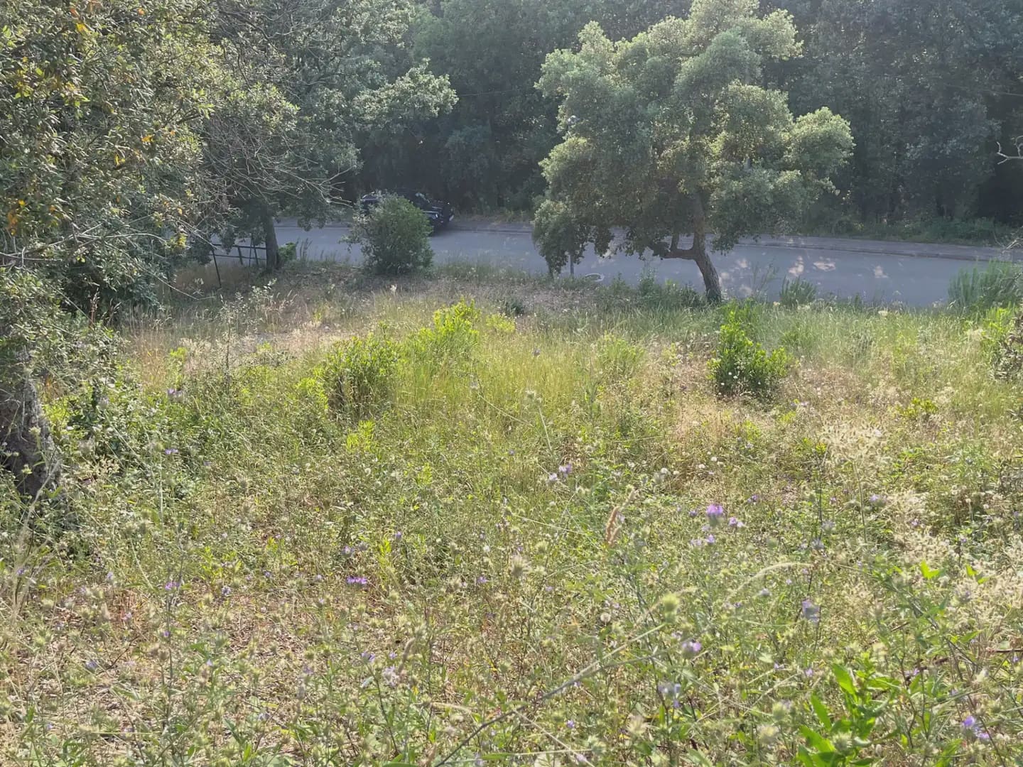 Building Plot for sale in Bescano - € 40,000 (Ref: 9850014)