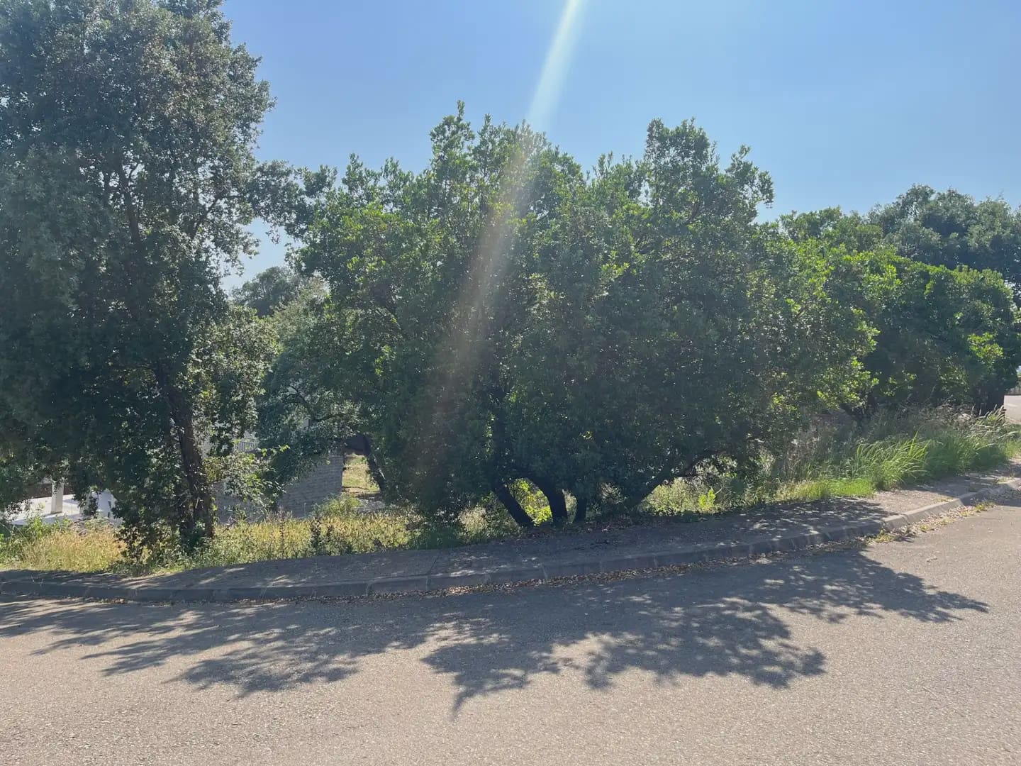 Building Plot for sale in Bescano - € 35,000 (Ref: 9850017)