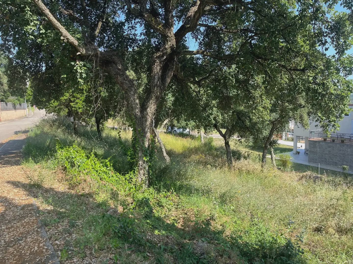 Building Plot for sale in Bescano - € 35,000 (Ref: 9850017)