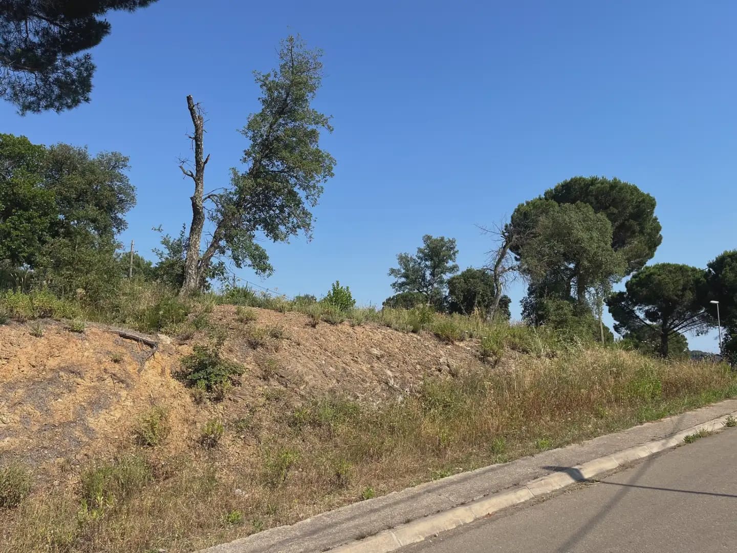Building Plot for sale in Bescano - € 42,000 (Ref: 9850019)
