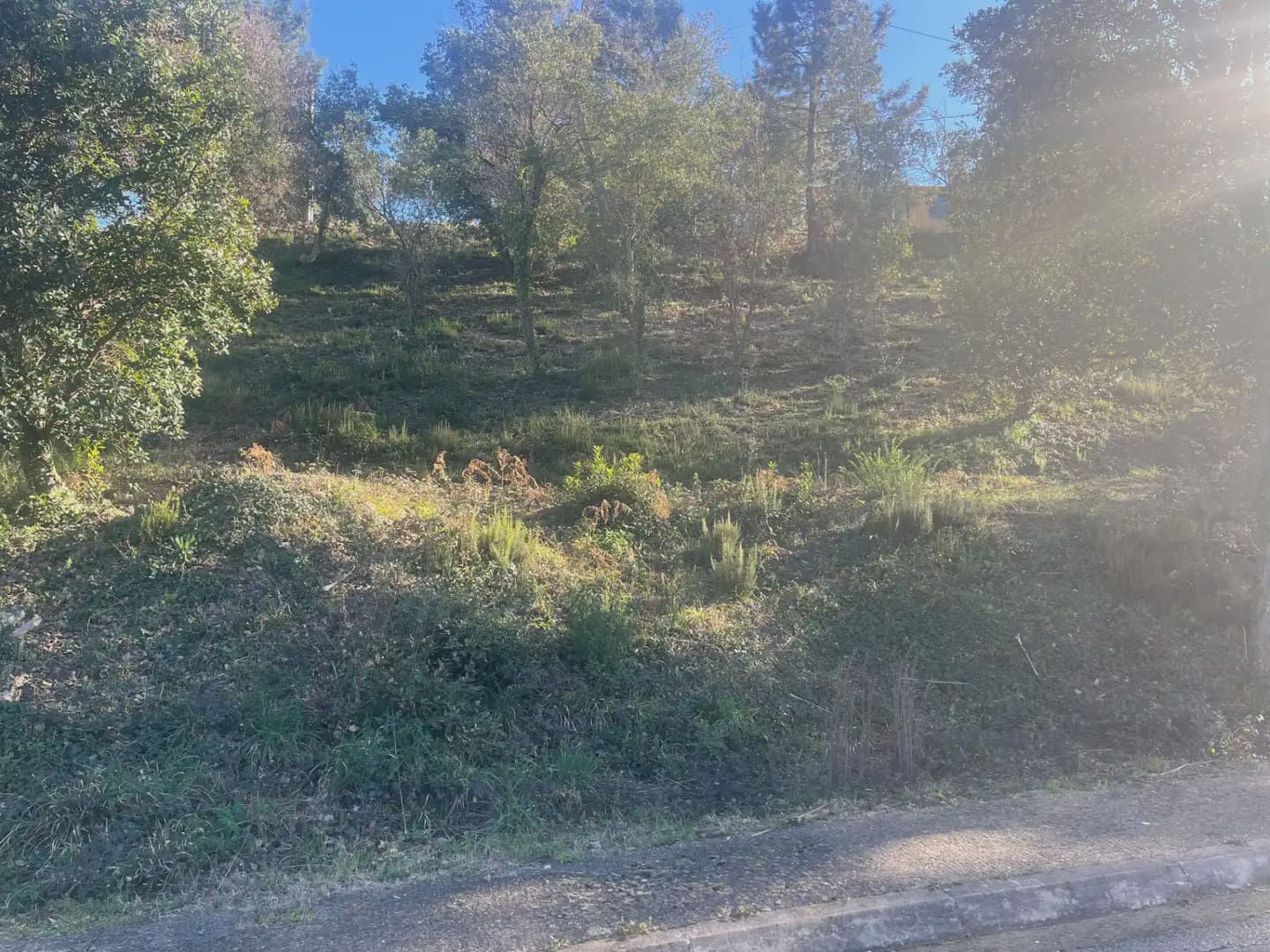 Building Plot for sale in Bescano - € 44,900 (Ref: 9850022)