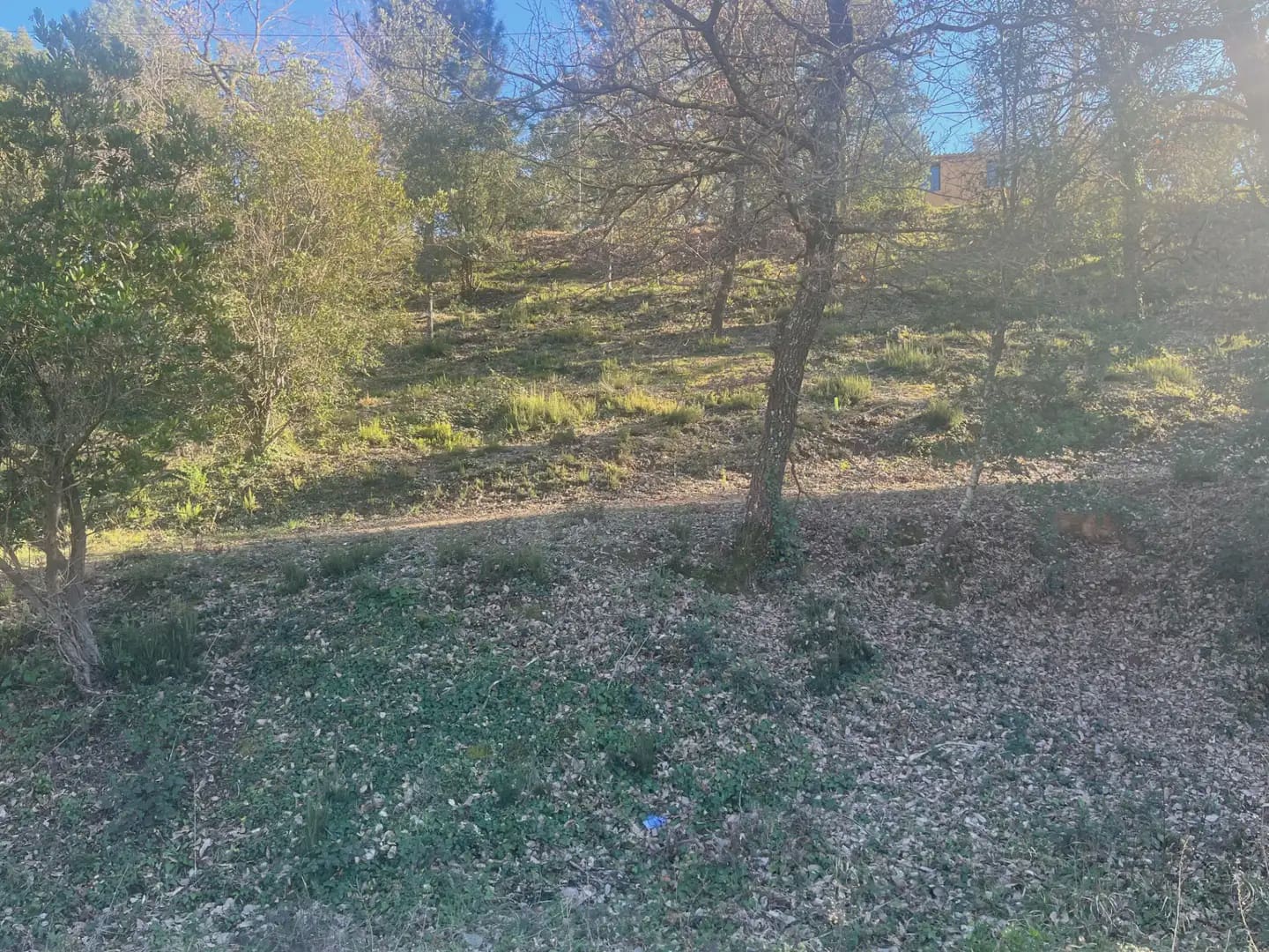 Building Plot for sale in Bescano - € 44,900 (Ref: 9850022)