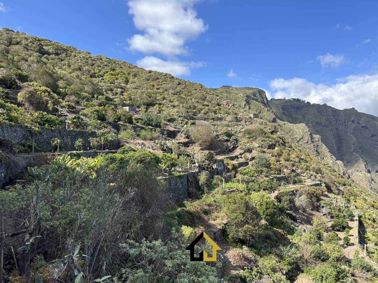 Grunde uden byggetilladelser til salg i El Tanque - € 250.000 (Ref: 9618549)