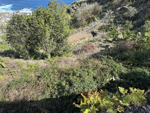 Grunde uden byggetilladelser til salg i El Tanque - € 250.000 (Ref: 9618549)