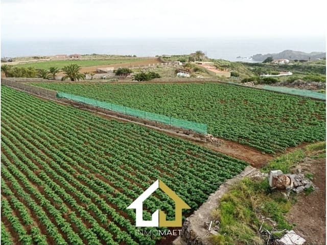 Undeveloped Land for sale in Icod de los Vinos - € 590,000 (Ref: 9618550)