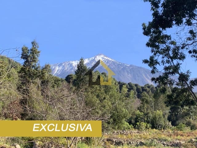 Ubebygd land til salgs i Icod de los Vinos - € 255 000 (Ref: 9618551)