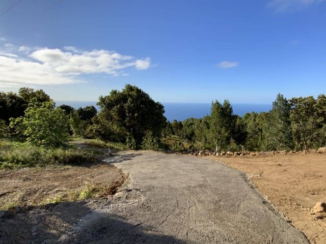 Ubebygd land til salgs i Icod de los Vinos - € 255 000 (Ref: 9618551)