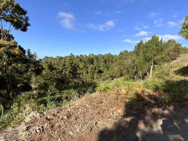 Ubebygd land til salgs i Icod de los Vinos - € 255 000 (Ref: 9618551)