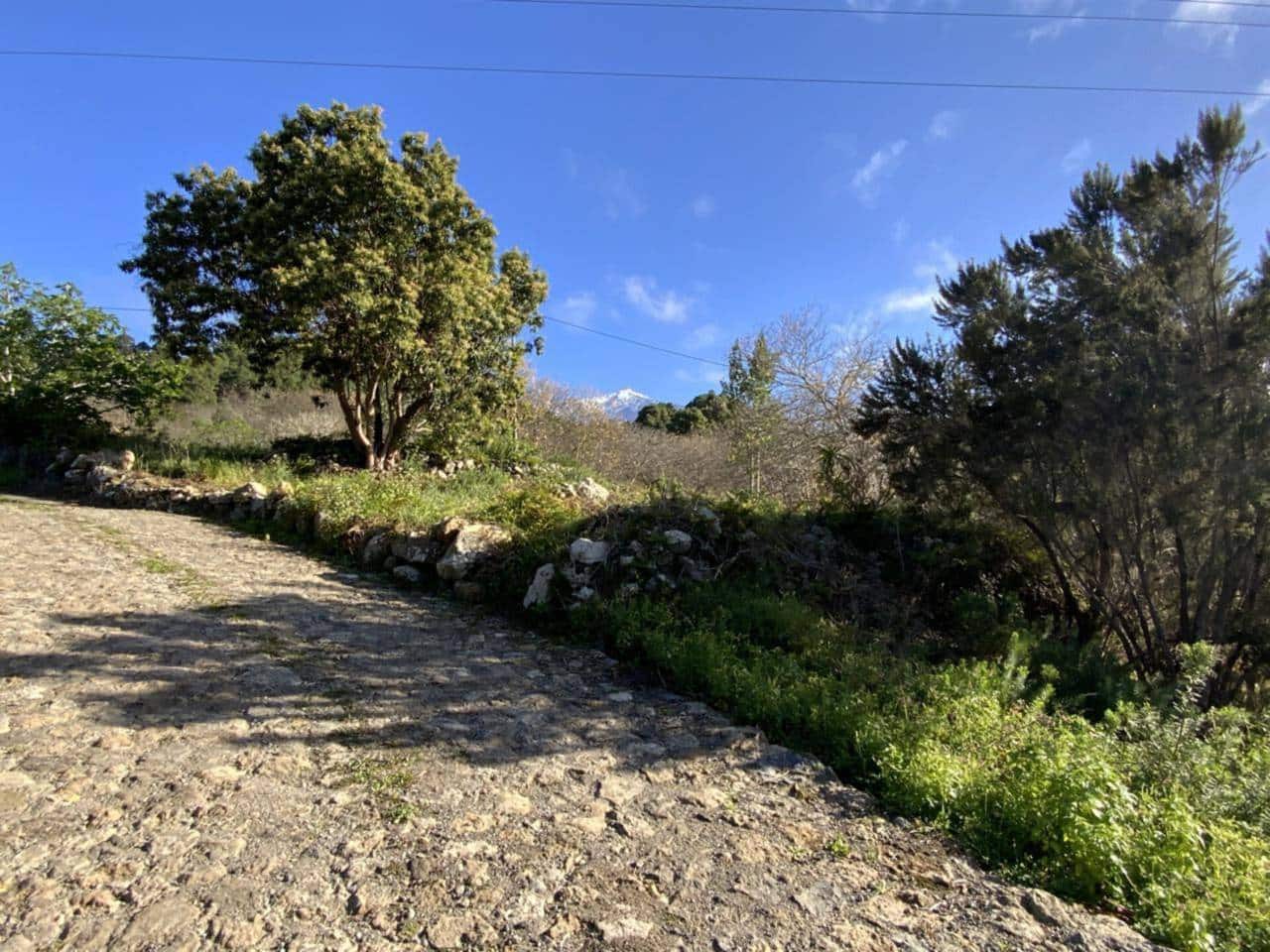 Ubebygd land til salgs i Icod de los Vinos - € 255 000 (Ref: 9618551)