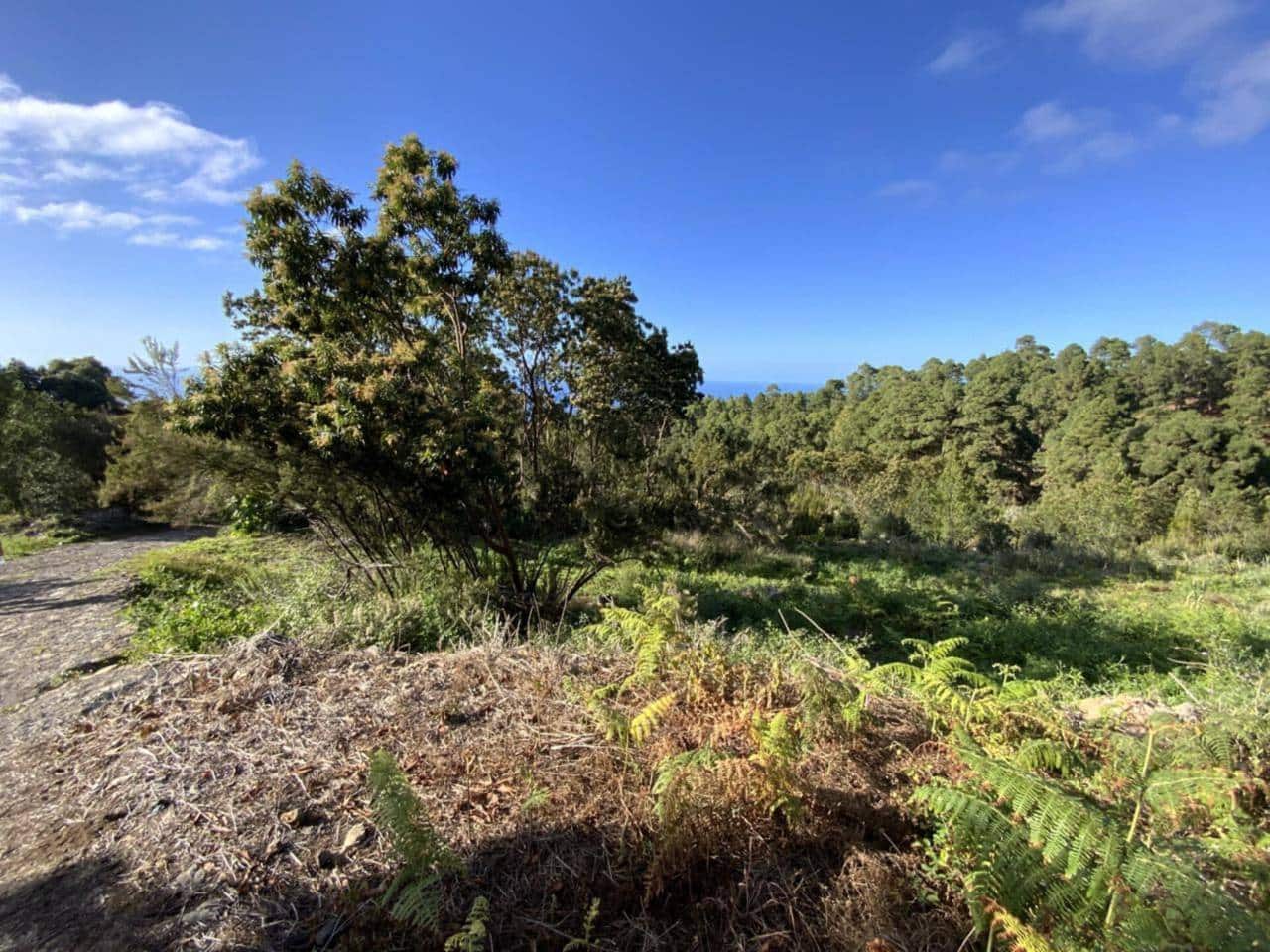 Ubebygd land til salgs i Icod de los Vinos - € 255 000 (Ref: 9618551)