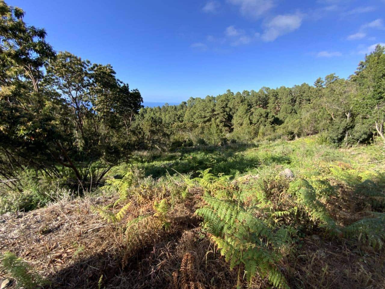 Ubebygd land til salgs i Icod de los Vinos - € 255 000 (Ref: 9618551)