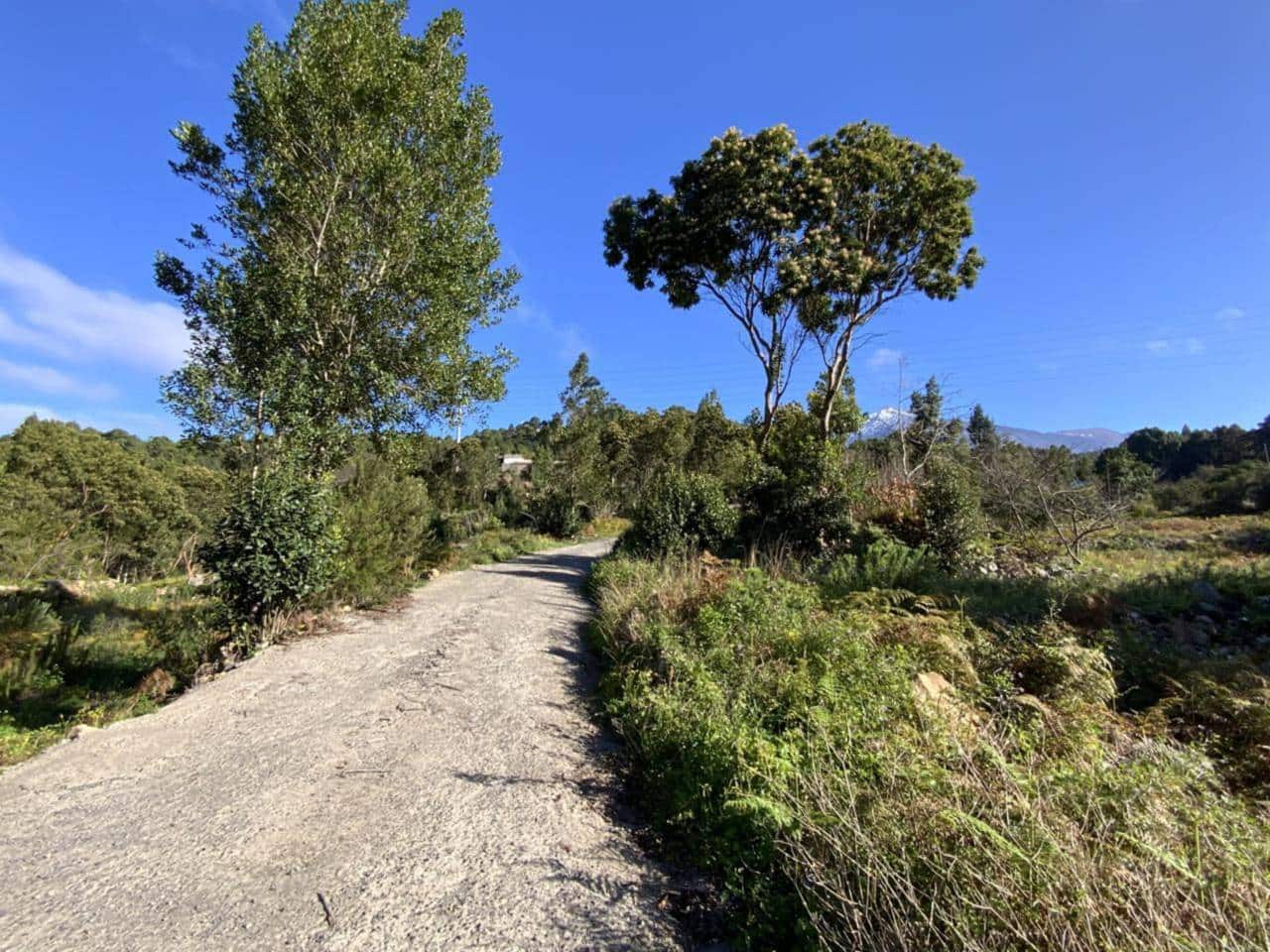 Ubebygd land til salgs i Icod de los Vinos - € 255 000 (Ref: 9618551)