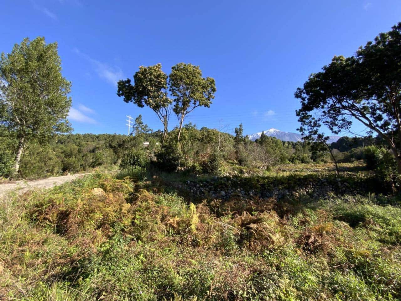 Ubebygd land til salgs i Icod de los Vinos - € 255 000 (Ref: 9618551)