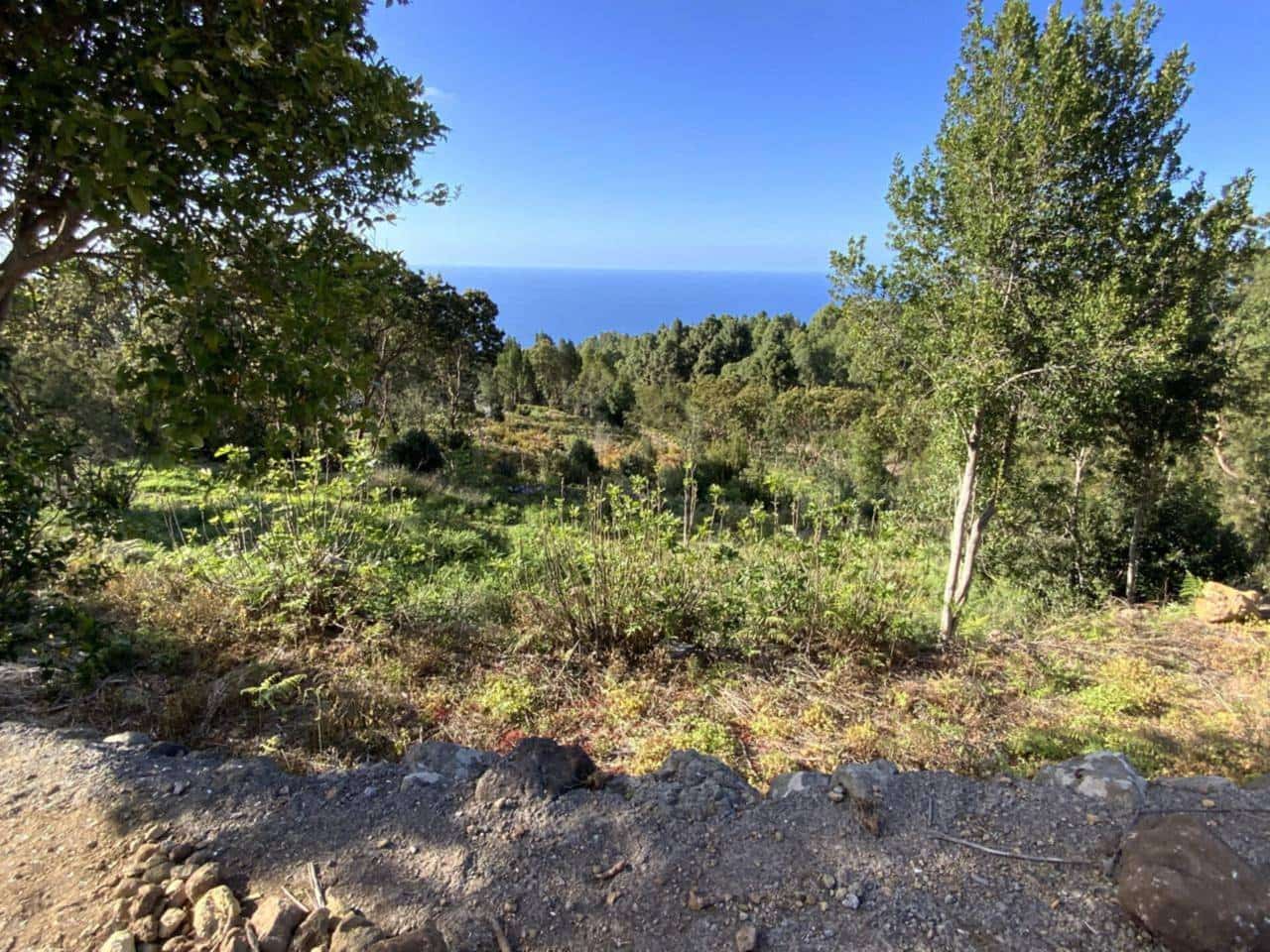 Ubebygd land til salgs i Icod de los Vinos - € 255 000 (Ref: 9618551)