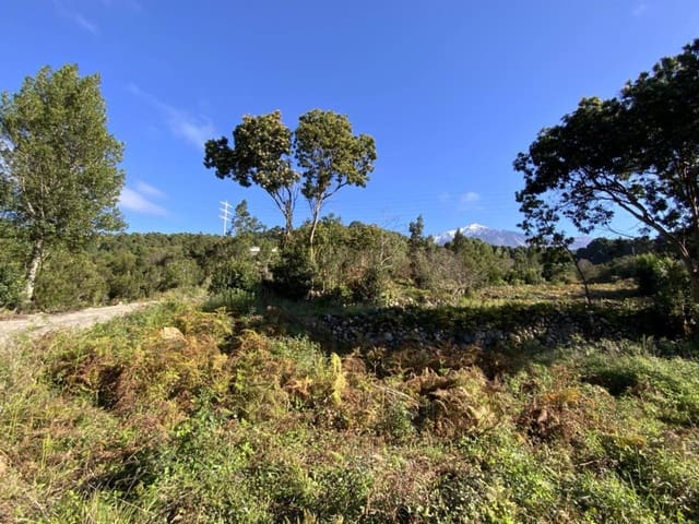 Ubebygd land til salgs i Icod de los Vinos - € 255 000 (Ref: 9618551)