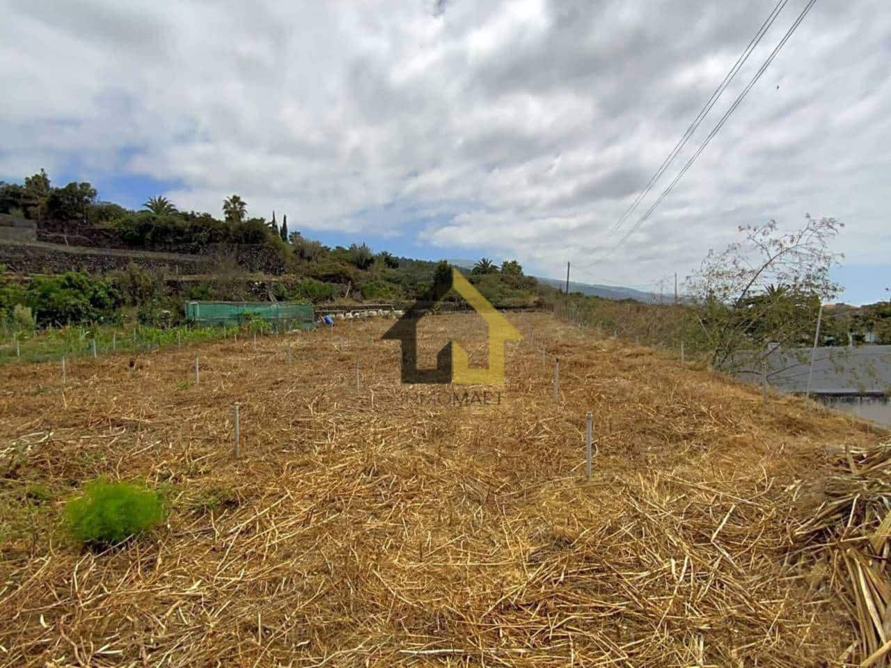Undeveloped Land for sale in Icod de los Vinos - € 140,000 (Ref: 9618552)