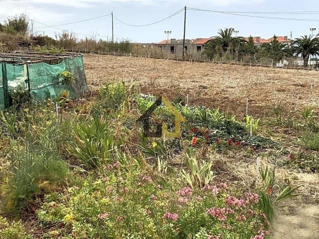 Terre non Aménagée à vendre à Icod de los Vinos - 140 000 € (Ref: 9618552)
