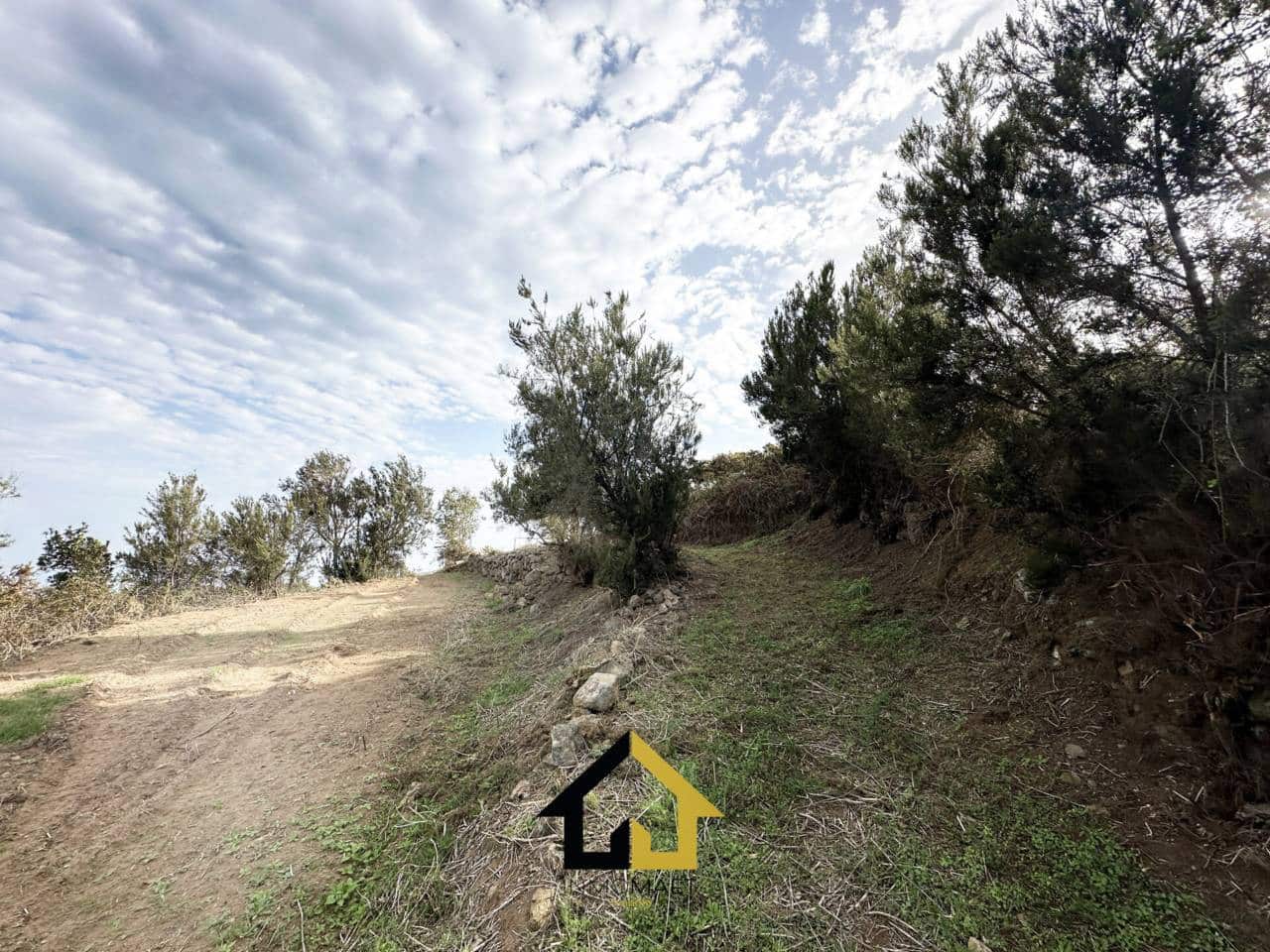 Undeveloped Land for sale in Los Silos - € 15,000 (Ref: 9618554)