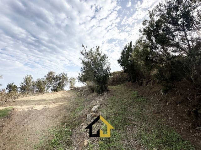 Terreno Non Edificato in vendita in Los Silos - 15.000 € (Rif: 9618554)