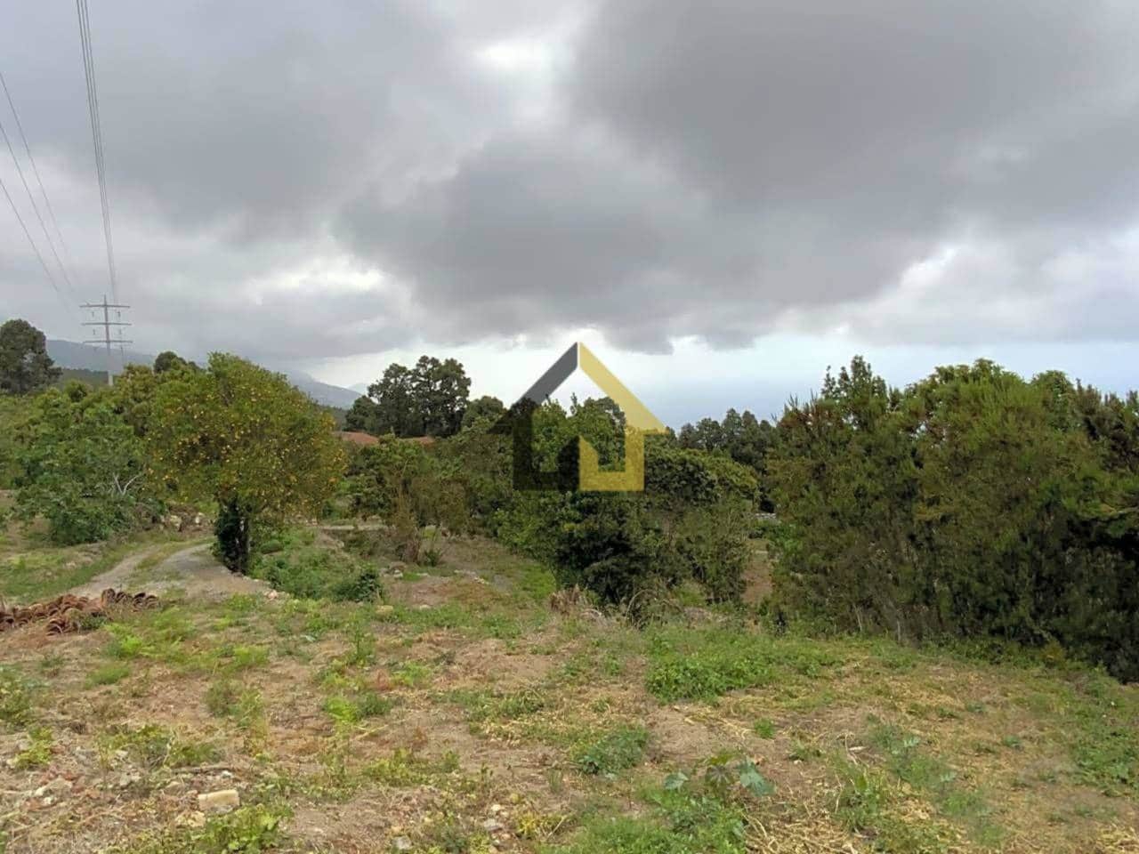 Ubebygd land til salgs i Icod de los Vinos - € 70 000 (Ref: 9618556)