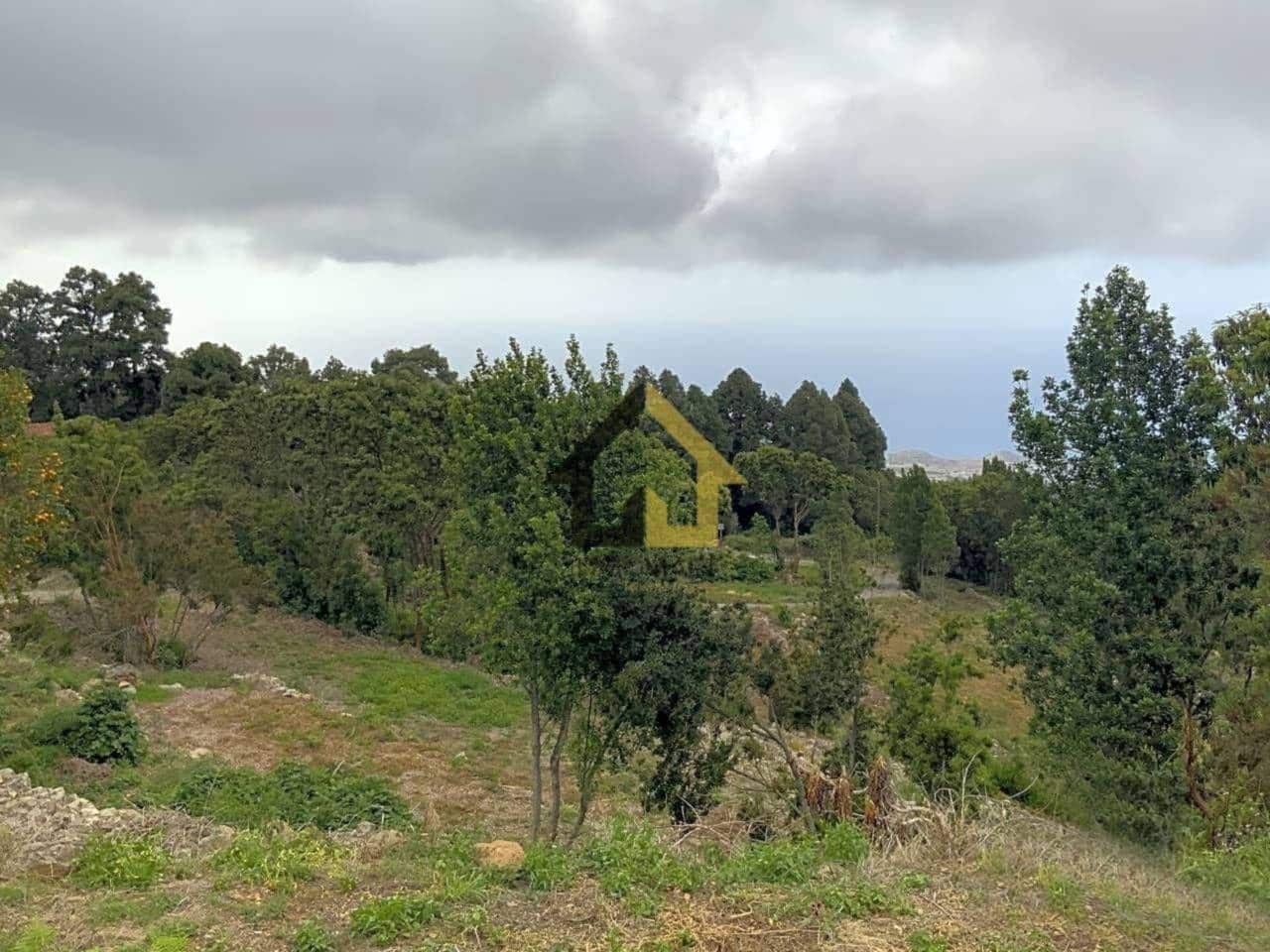 Ubebygd land til salgs i Icod de los Vinos - € 70 000 (Ref: 9618556)