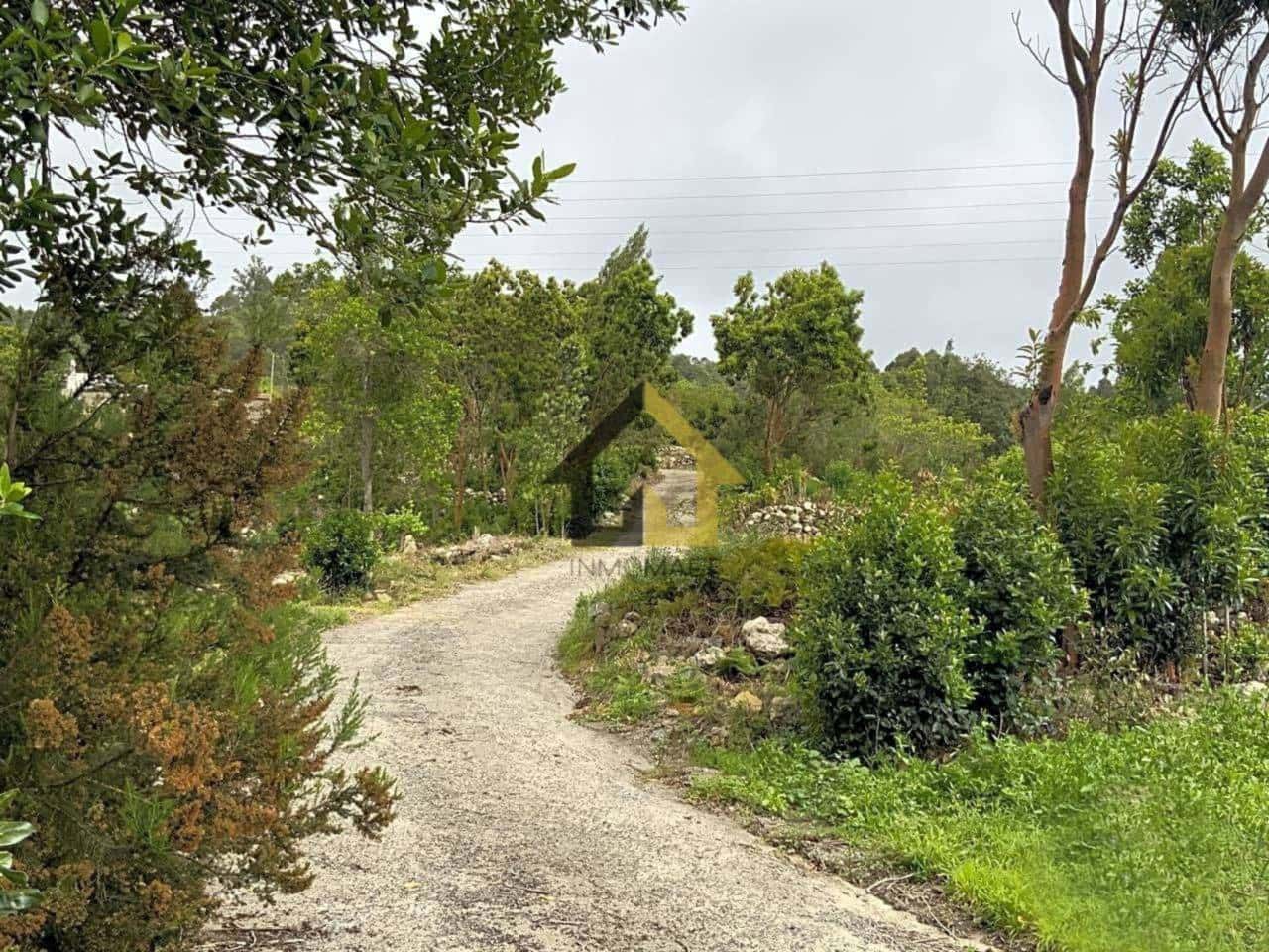 Ubebygd land til salgs i Icod de los Vinos - € 70 000 (Ref: 9618556)