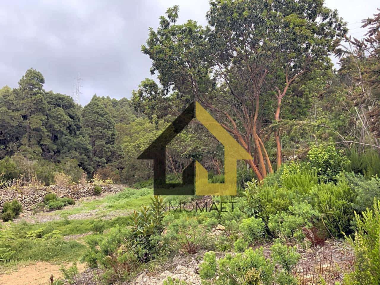 Ubebygd land til salgs i Icod de los Vinos - € 70 000 (Ref: 9618556)