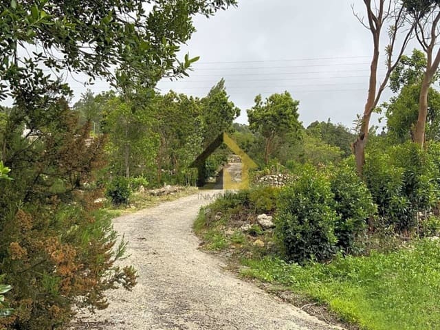 Grond te koop in Icod de los Vinos - € 70.000 (Ref: 9618556)