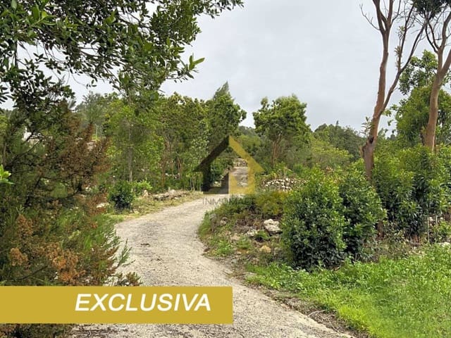 Grond te koop in Icod de los Vinos - € 70.000 (Ref: 9618556)