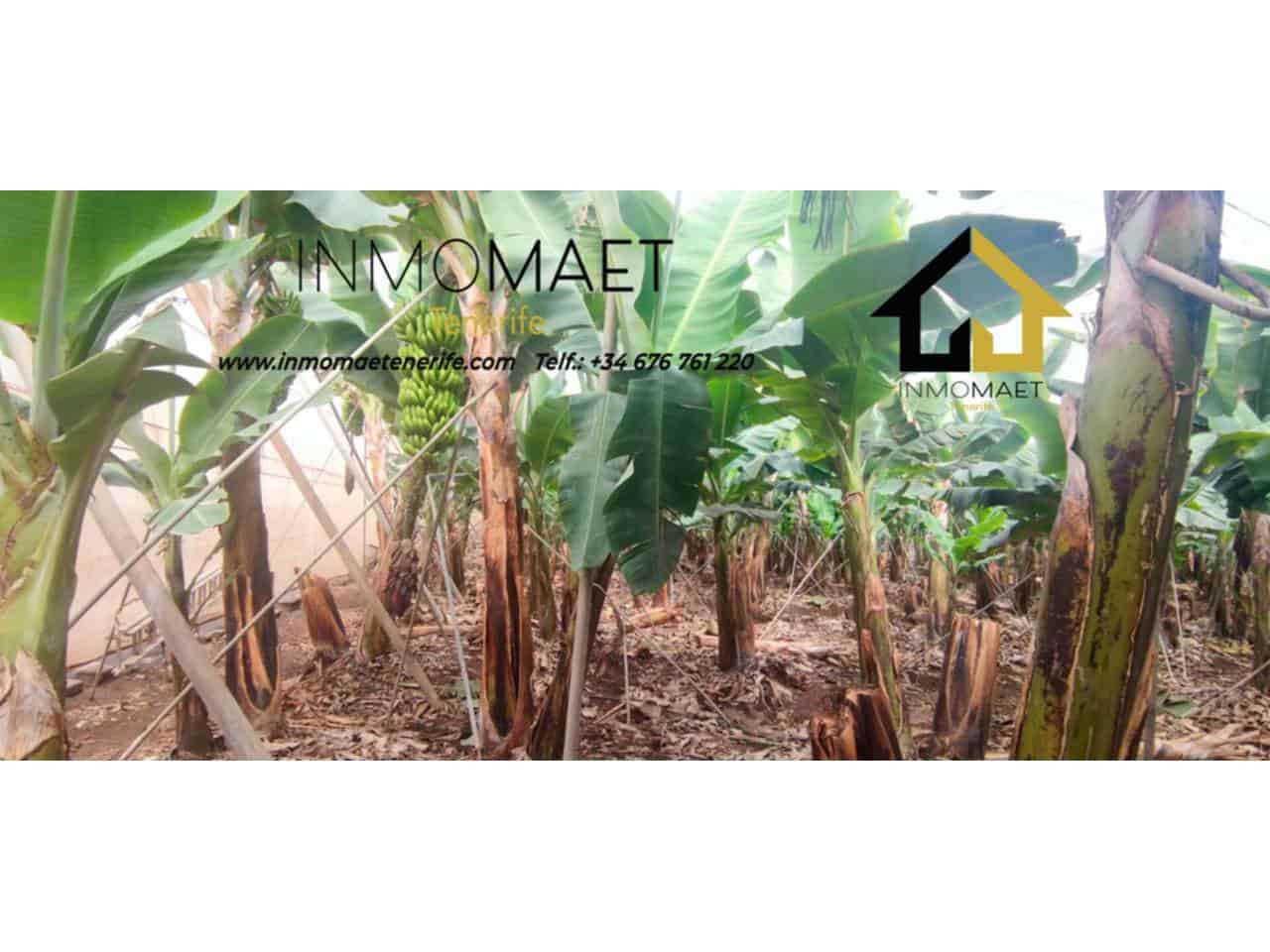 Undeveloped Land for sale in Los Silos - € 630,000 (Ref: 9658175)