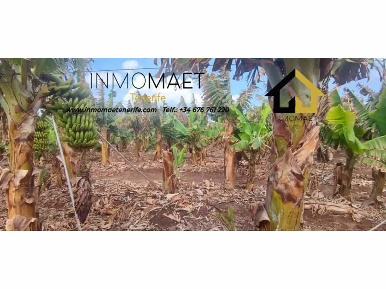 Undeveloped Land for sale in Los Silos - € 630,000 (Ref: 9658175)