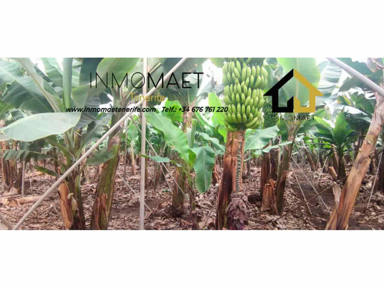 Undeveloped Land for sale in Los Silos - € 630,000 (Ref: 9658175)