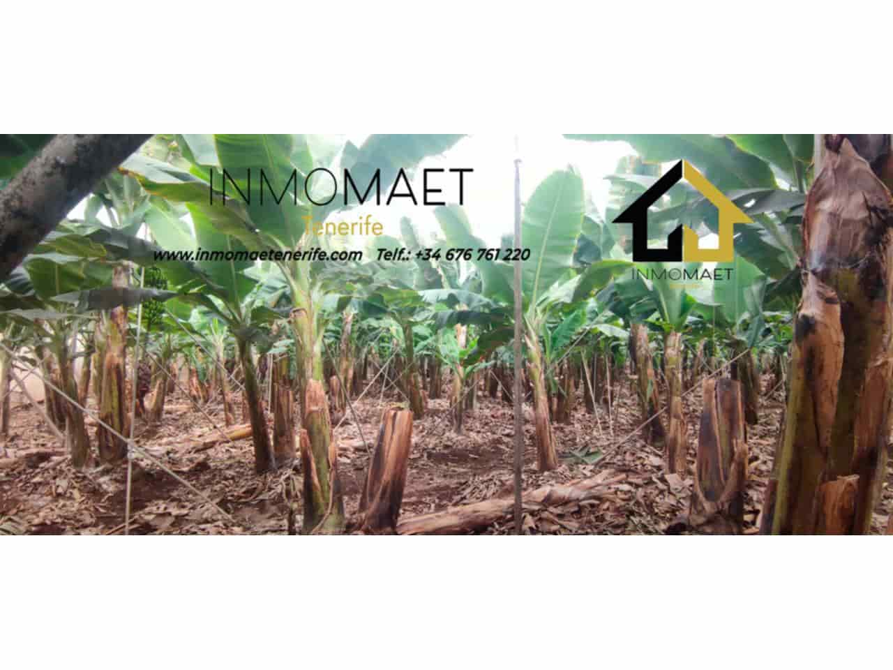 Undeveloped Land for sale in Los Silos - € 630,000 (Ref: 9658175)