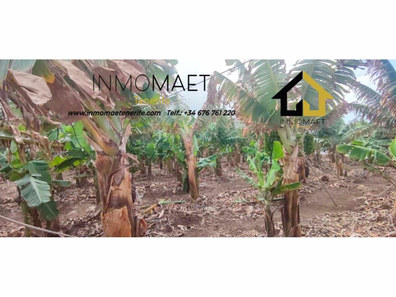 Undeveloped Land for sale in Los Silos - € 630,000 (Ref: 9658175)