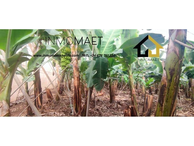 Undeveloped Land for sale in Los Silos - € 630,000 (Ref: 9658175)