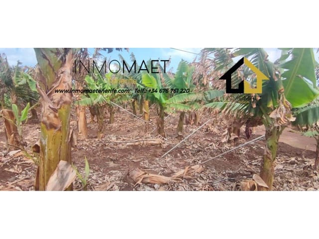 Undeveloped Land for sale in Los Silos - € 630,000 (Ref: 9658175)