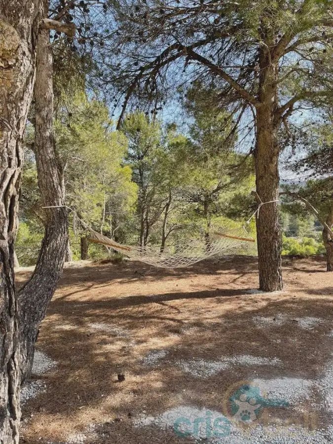 4 bedroom Finca/Country House for sale in Zarzadilla de Totana - € 225,000 (Ref: 9818527)
