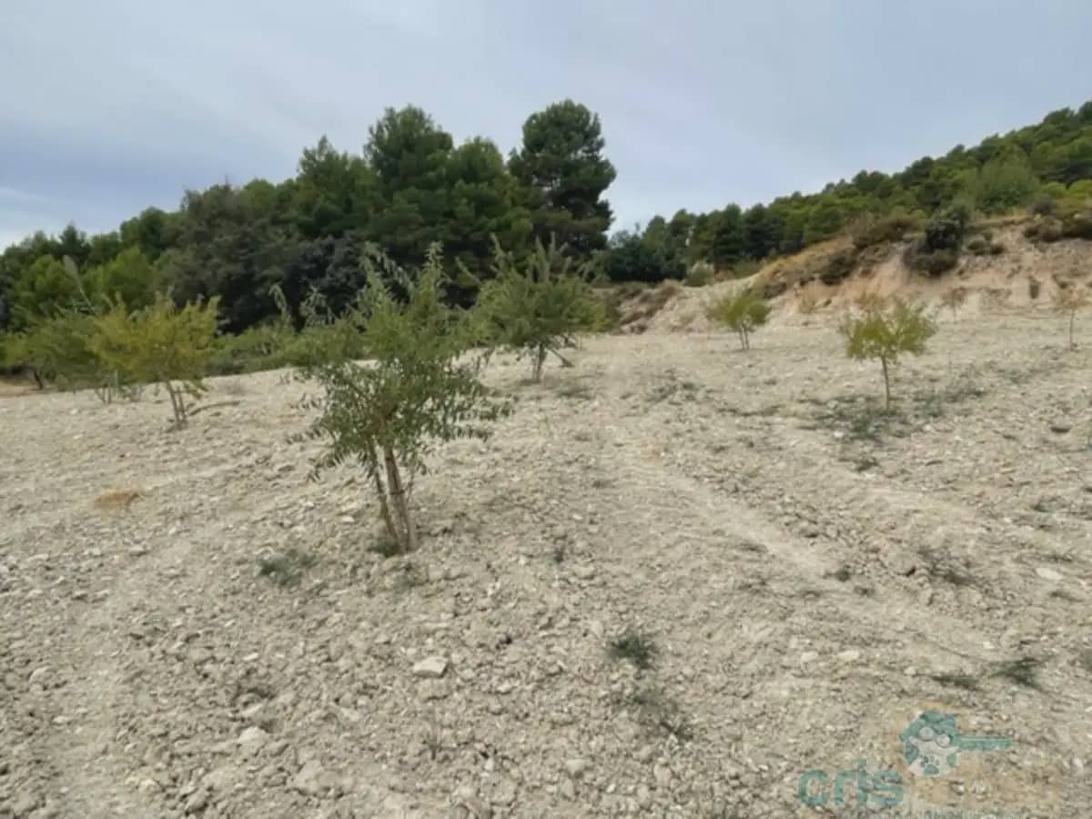 4 bedroom Finca/Country House for sale in Zarzadilla de Totana - € 225,000 (Ref: 9818527)