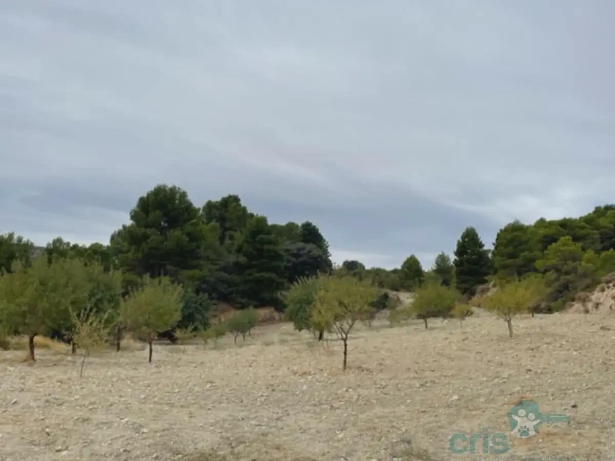 4 bedroom Finca/Country House for sale in Zarzadilla de Totana - € 225,000 (Ref: 9818527)